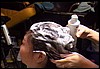 asiademoa (019).jpg