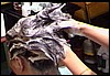 asiademoa (059).jpg